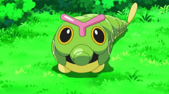 evolucion-de-caterpie-todos-los-trucos-atrapar